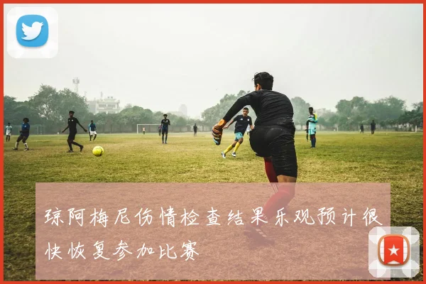 琼阿梅尼伤情检查结果乐观预计很快恢复参加比赛