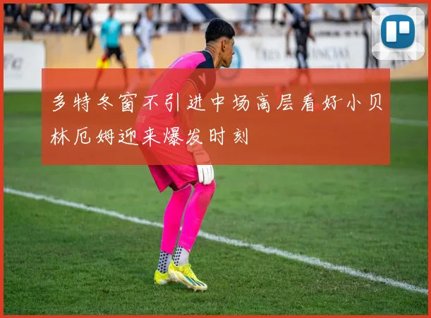 多特冬窗不引进中场高层看好小贝林厄姆迎来爆发时刻