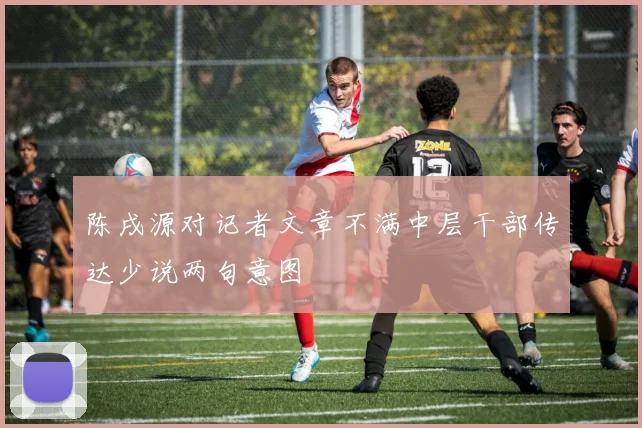 陈戌源对记者文章不满中层干部传达少说两句意图
